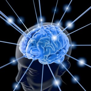 bigstockphoto_The_Brain_1713803
